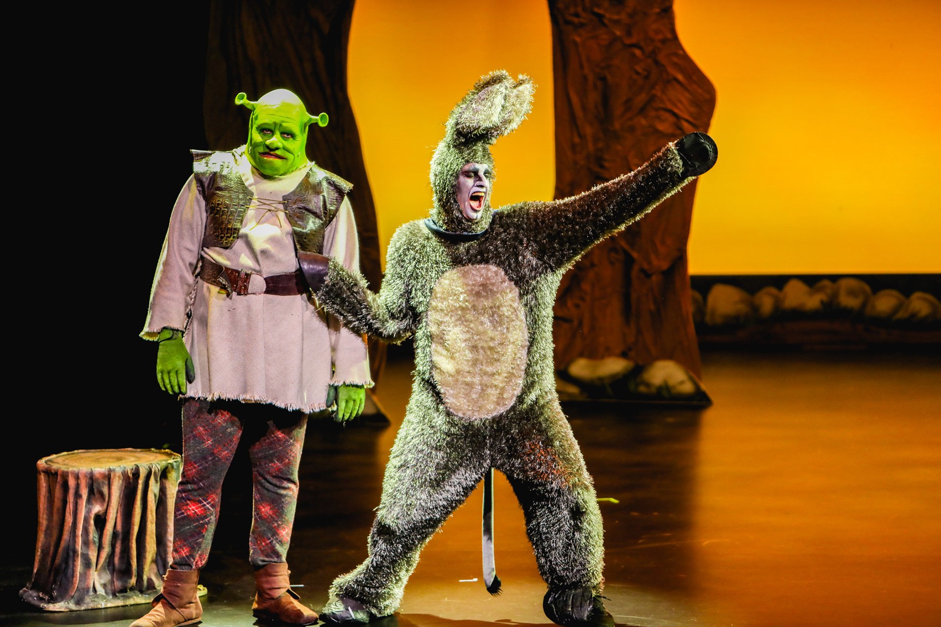 SHREK - Align Entertainment