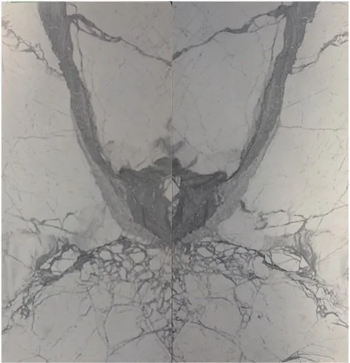 Bookmatched marble turns natural stone into living art. Each vein mirrors the next, creating a breathtaking, 
symmetrical flow that&rsquo;s perfect for entryway flooring, feature walls, showers, and statement fireplaces. Elegance, 
elevated.
-
-
-
