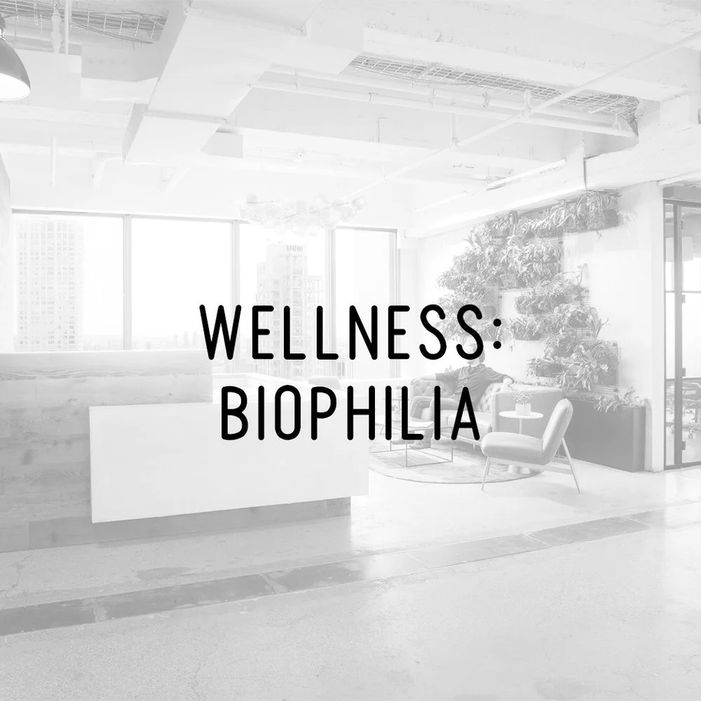 Modern office lobby with biophilic design, featuring indoor plants, a seating area, and large windows, with text overlay 'Wellness: Biophilia'.