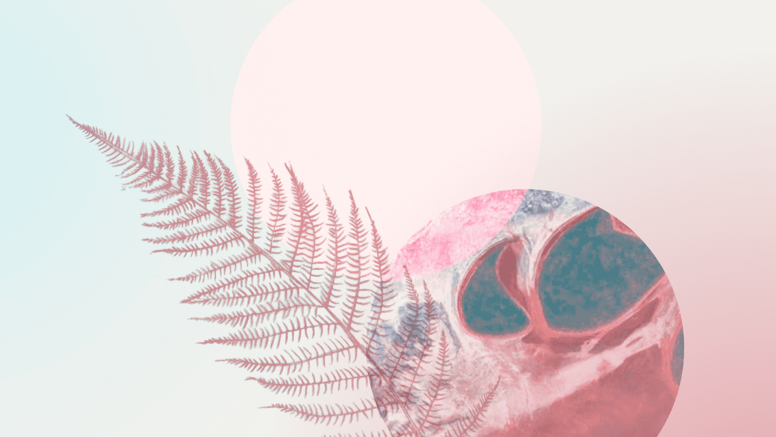 Individuality in Healthcare