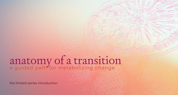 Anatomy of Transition: Your Introduction to this Limited Series