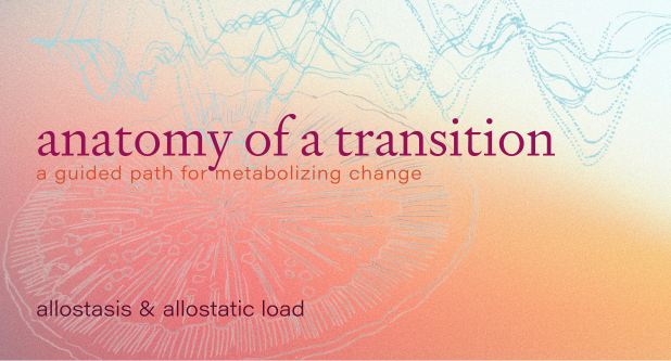 Passage 4: Allostasis &amp; Allostatic Load (when “holding it all together” becomes its own kind of wear and tear)