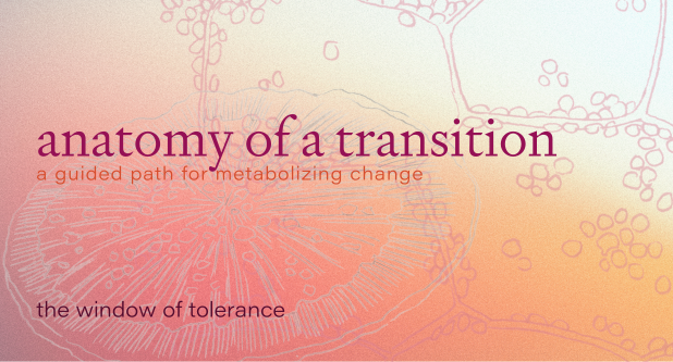Passage 5: The Window of Tolerance (A real-time map for your nervous system in transition.)