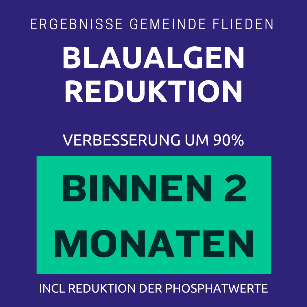 Blaualgen in Badeseen zuverlässig entfernen mikrobiom-lab