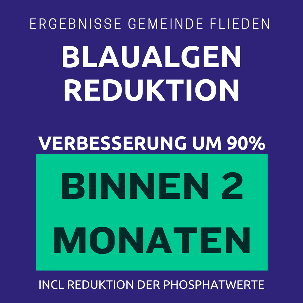 Blaualgen in Badeseen zuverlässig entfernen mikrobiom-lab
