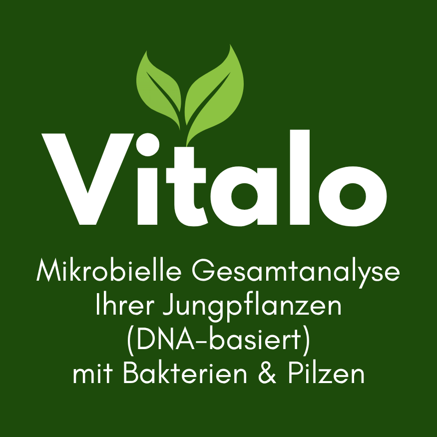 7.png (Kopie) (Kopie)