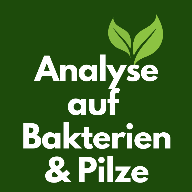 Boden-Mikrobiom Kombi-Analyse (Bakterien UND Pilze)