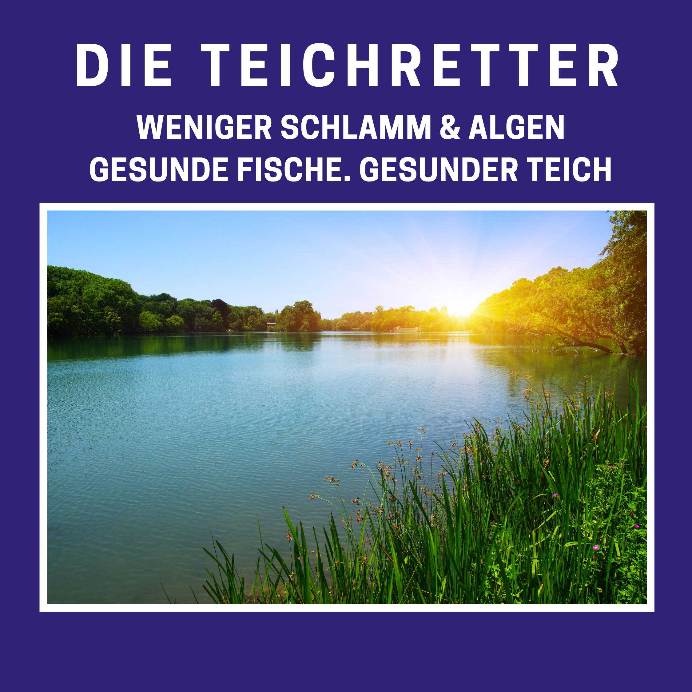 Mi 29.04. 18.30 Uhr  oder Do 30.04. 14.30 Uhr: Die 3-Schritte-Formel für gesunde Seen ohne stinkenden Schlamm oder Fischsterben