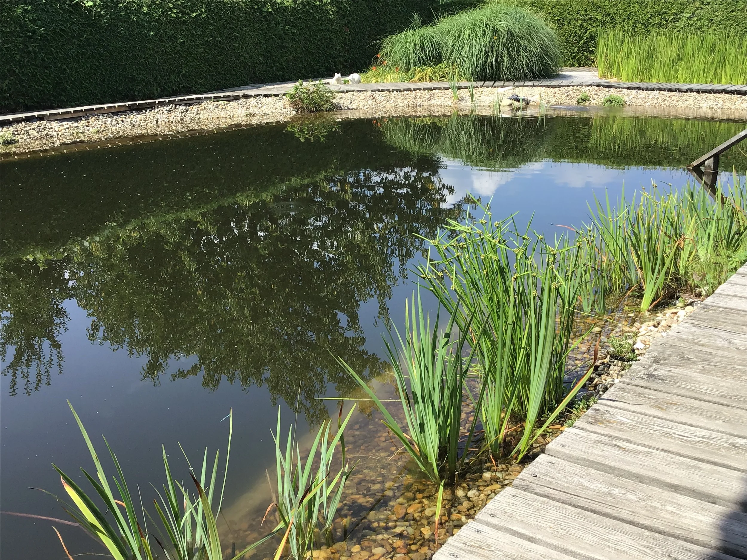 Schwimmteiche sanieren