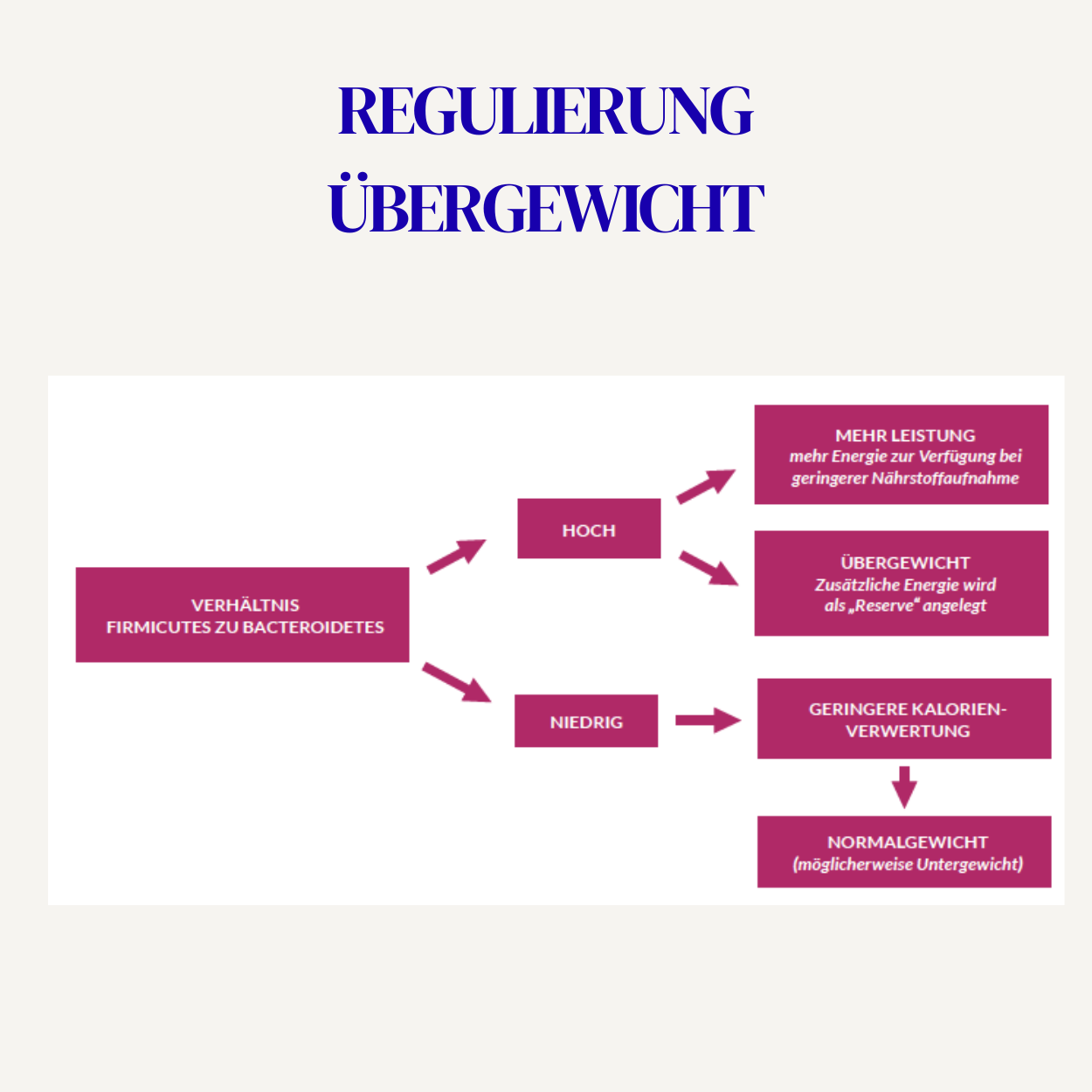 8.png (Kopie) (Kopie)