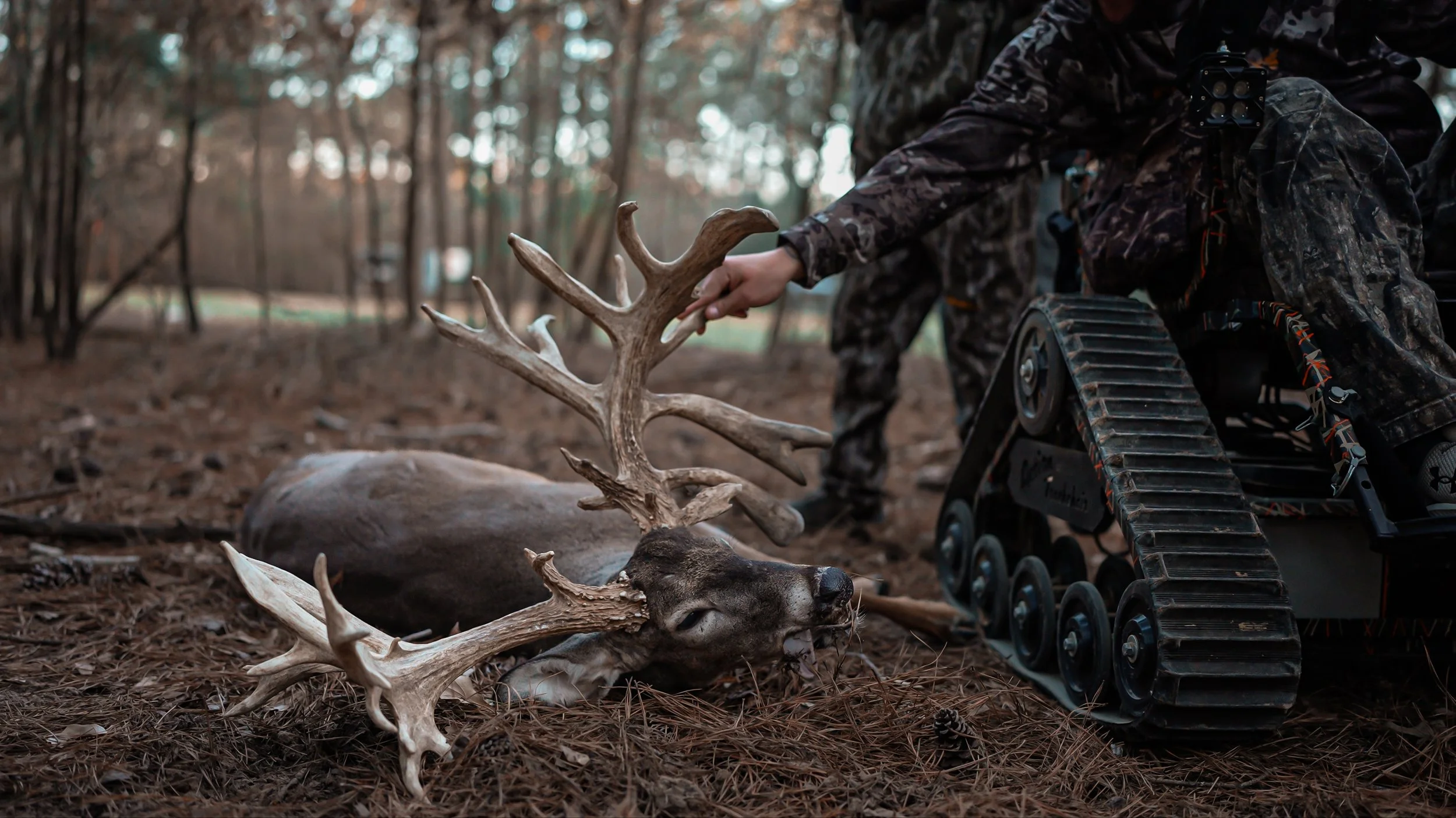 Screenshot 2026-02-05 at 20.18.29.jpg