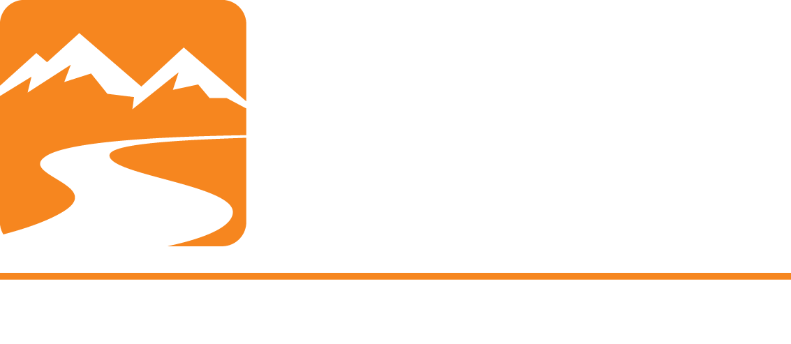 GSM-LOGO-Dark Background.png