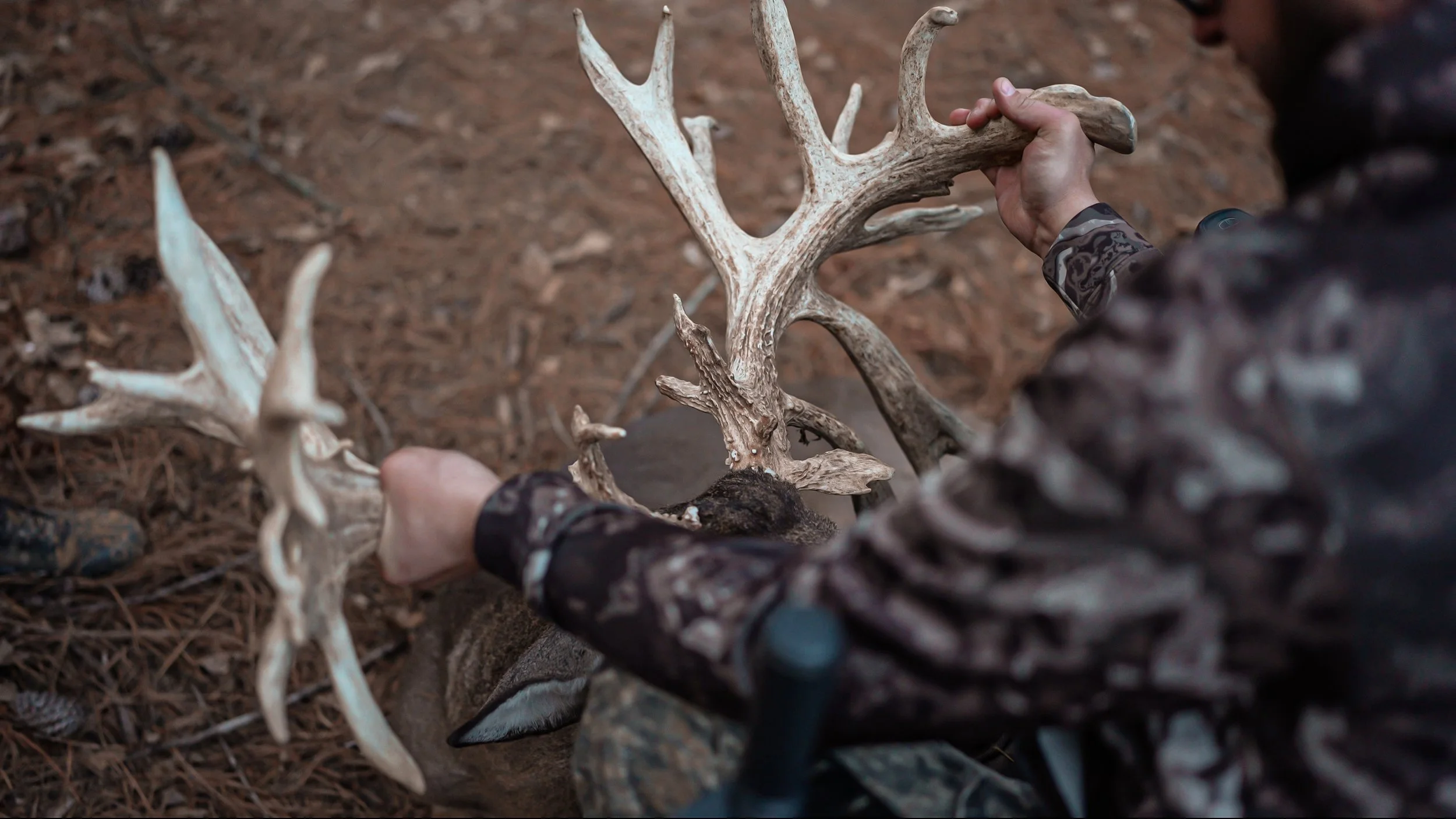 Screenshot 2026-02-05 at 20.20.19.jpg