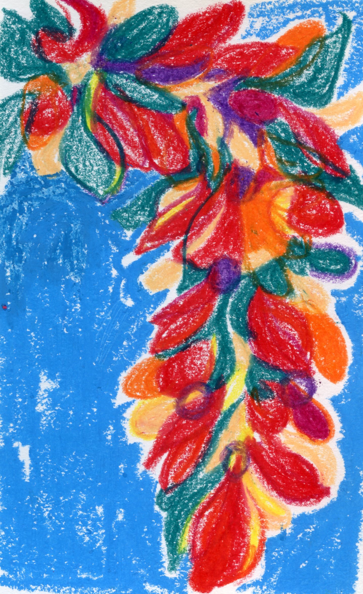pg027.jpg