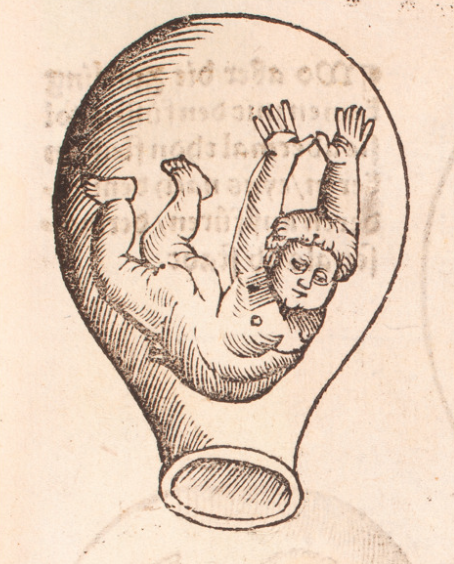 Sacred Cells, Vanishing Women: Fetus Politics in Italian Reproductive Discourse