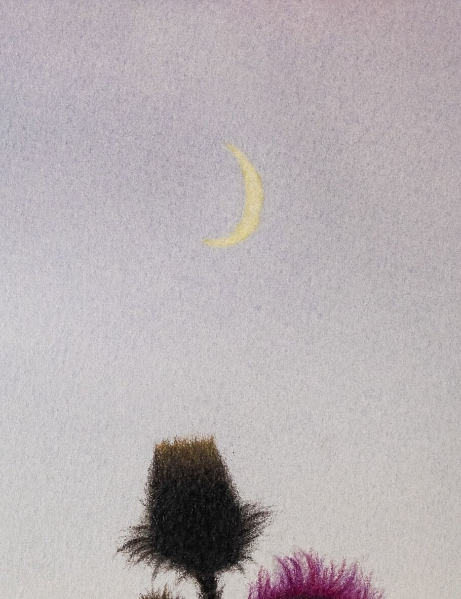 7394124.jpg