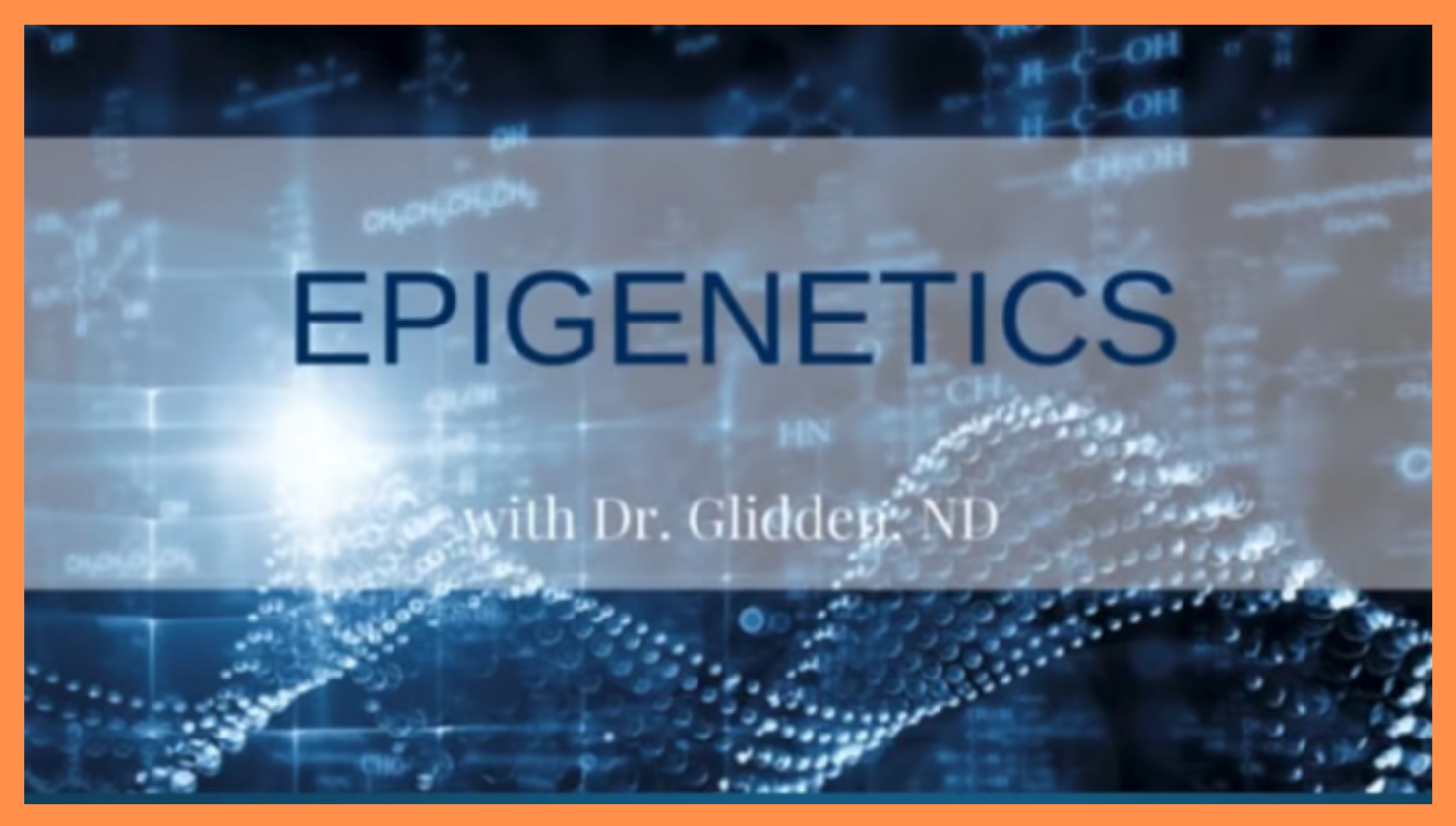 Epigenetics.png
