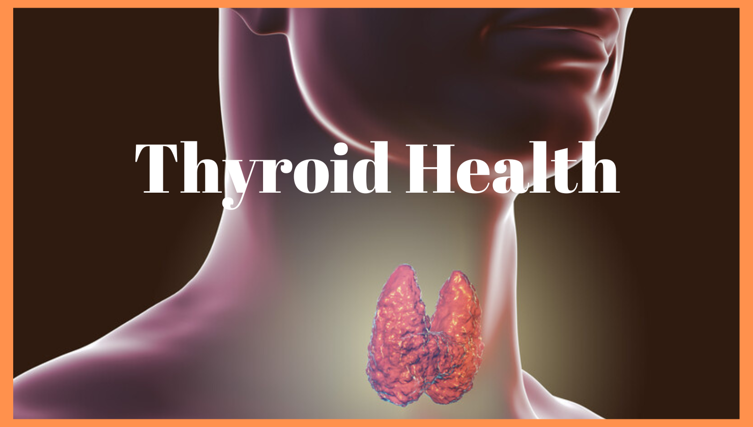 Thyroid.png