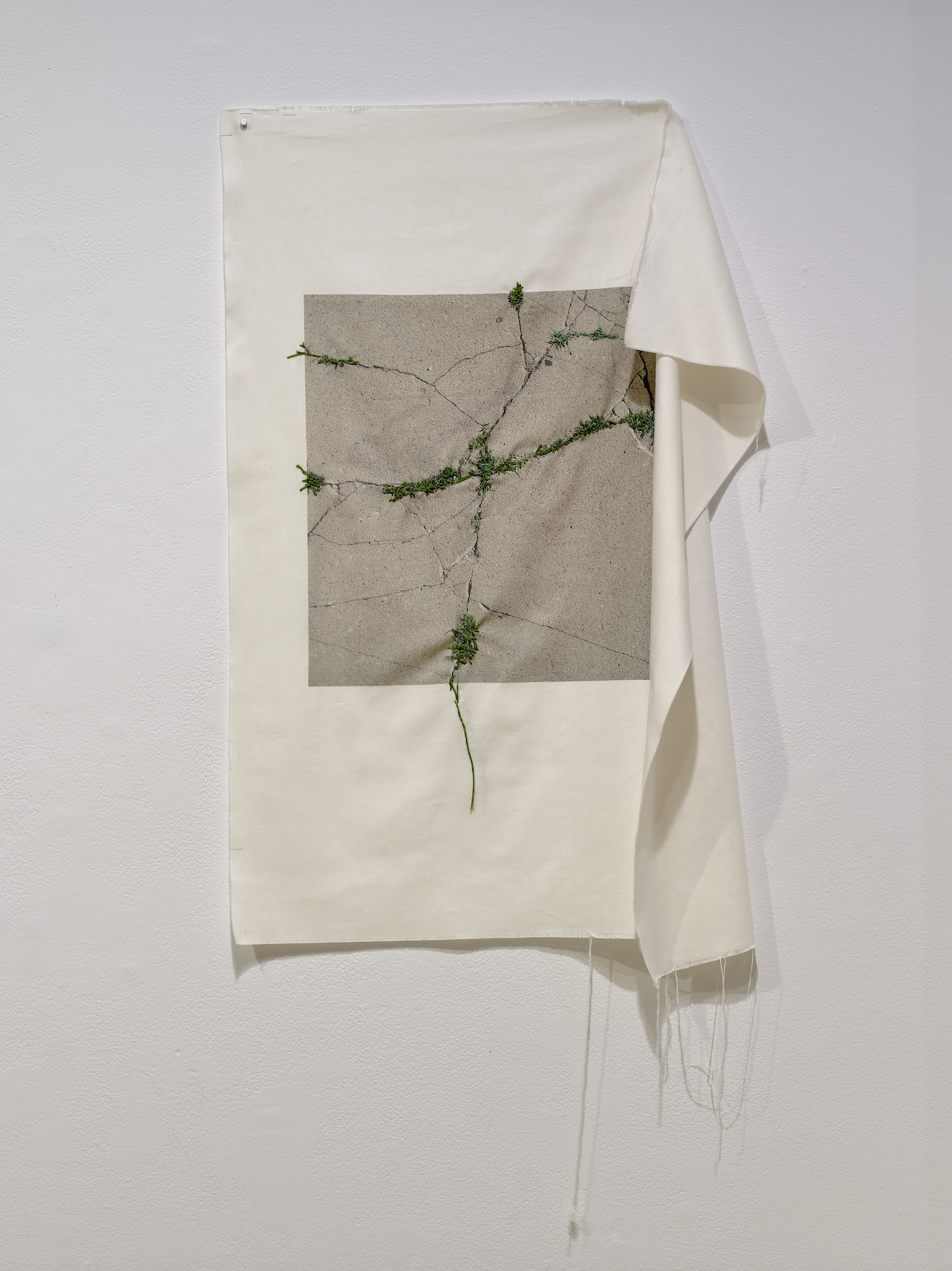 Screenshot 2026-03-30 at 3.10.06 PM.png