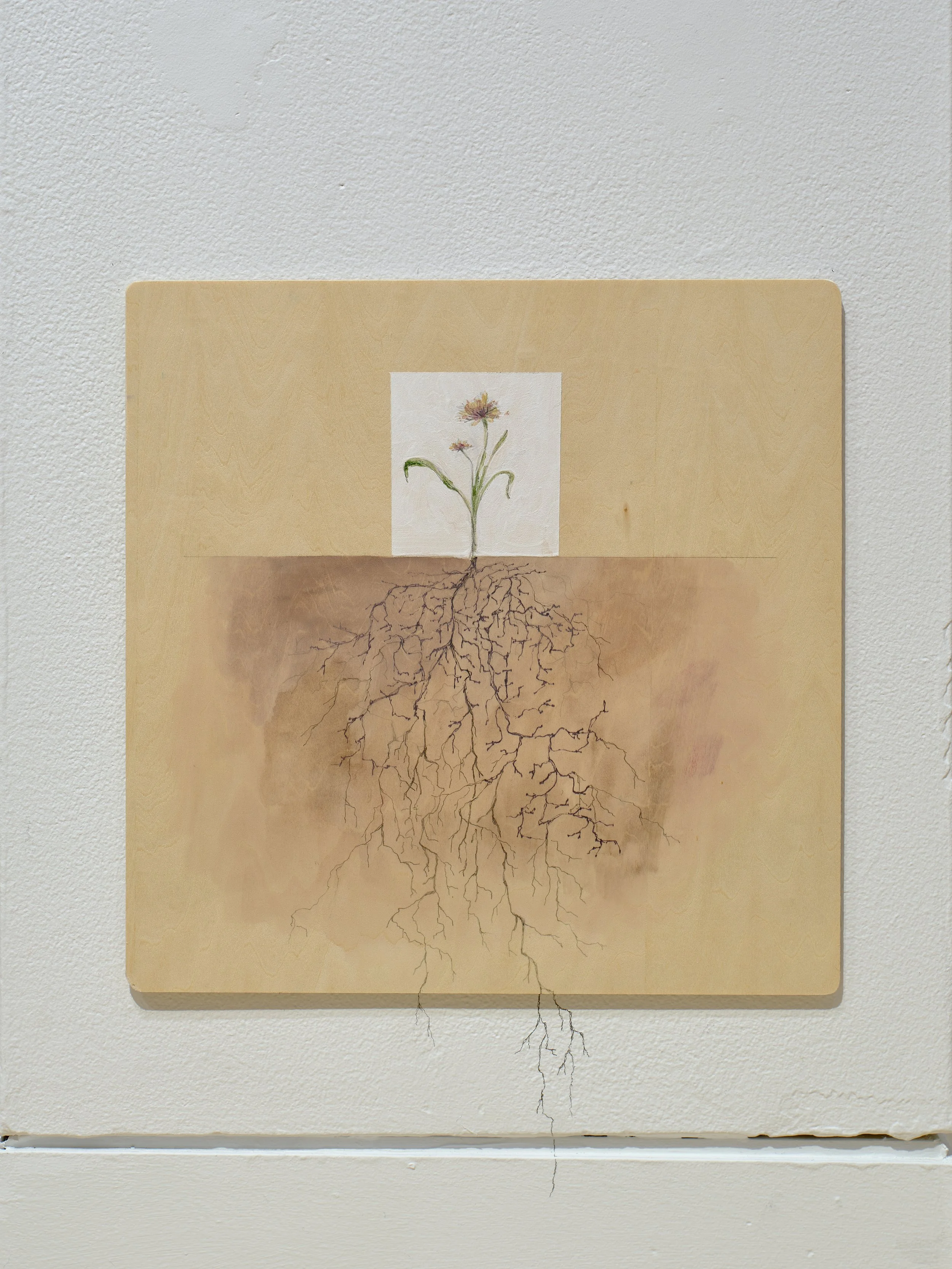 2025_07_10_Argenis_Apolinario_SVA_MFA_INSTALL_0357.jpg