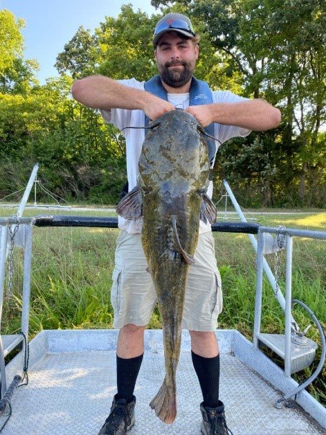  Flathead catfish caught (and released) for data collection by KDWP Fisheries Division.  