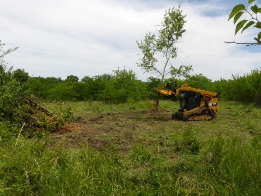 Removal of woody encroachment with skid-steer. 