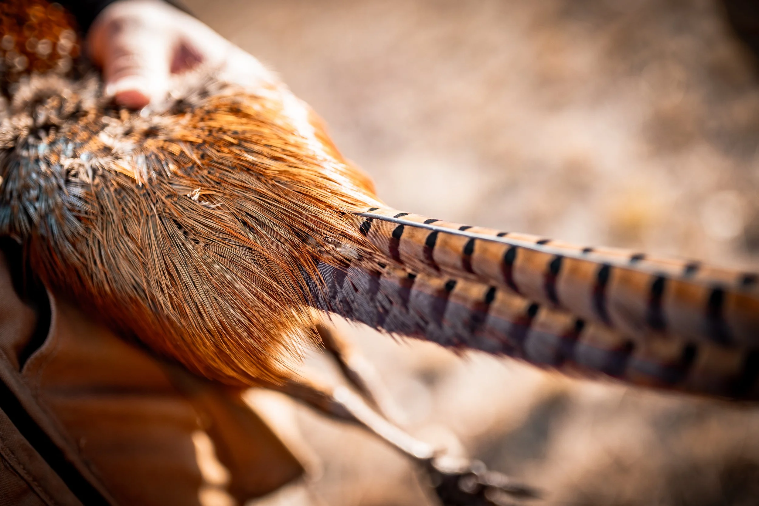 Mooney Creek Pheasants Forever Annual Banquet