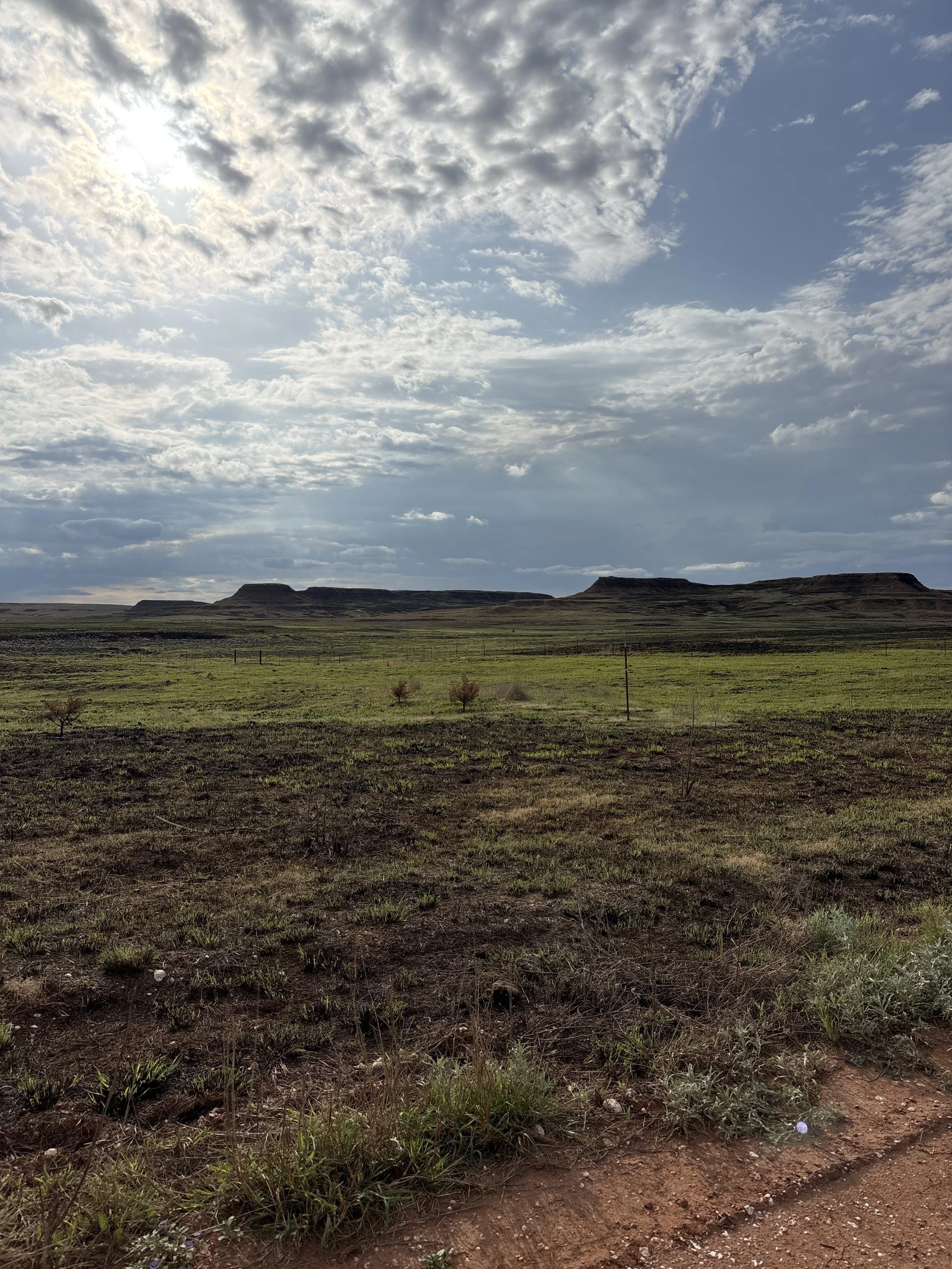 The Gypsum Hills: A Core for Grassland Conservation