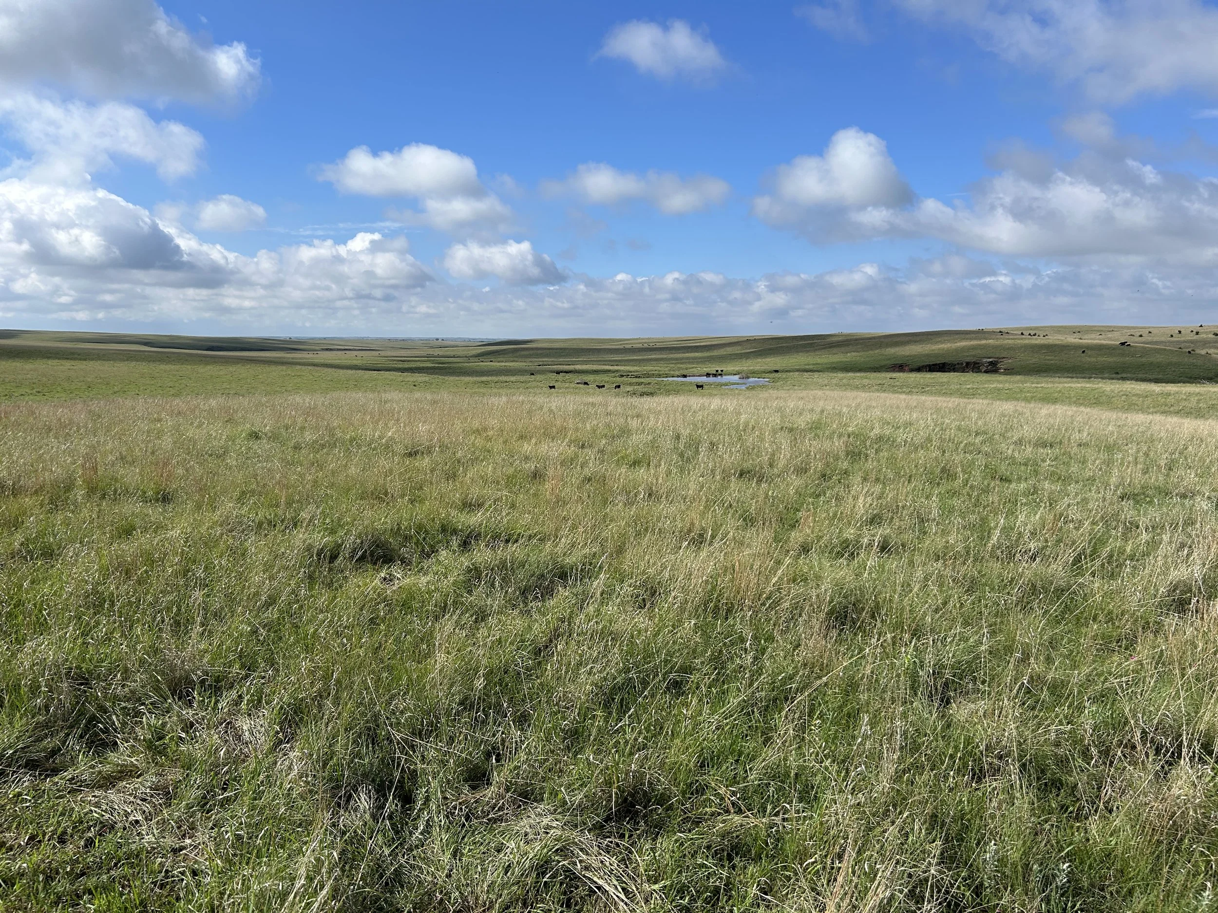 Voluntary Conservation