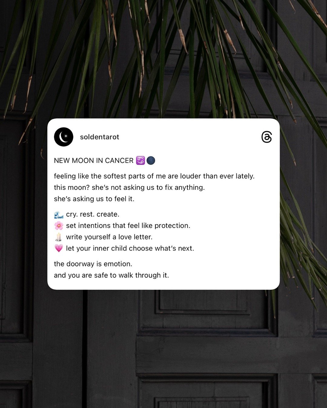 new moon in cancer 🪷🌑
a sacred return to the heart. to safety. to the quiet truth beneath it all.

this one is tender.
she&rsquo;s not asking you to rush or fix or force &mdash;
she&rsquo;s asking you to feel.

set intentions that feel like sanctua