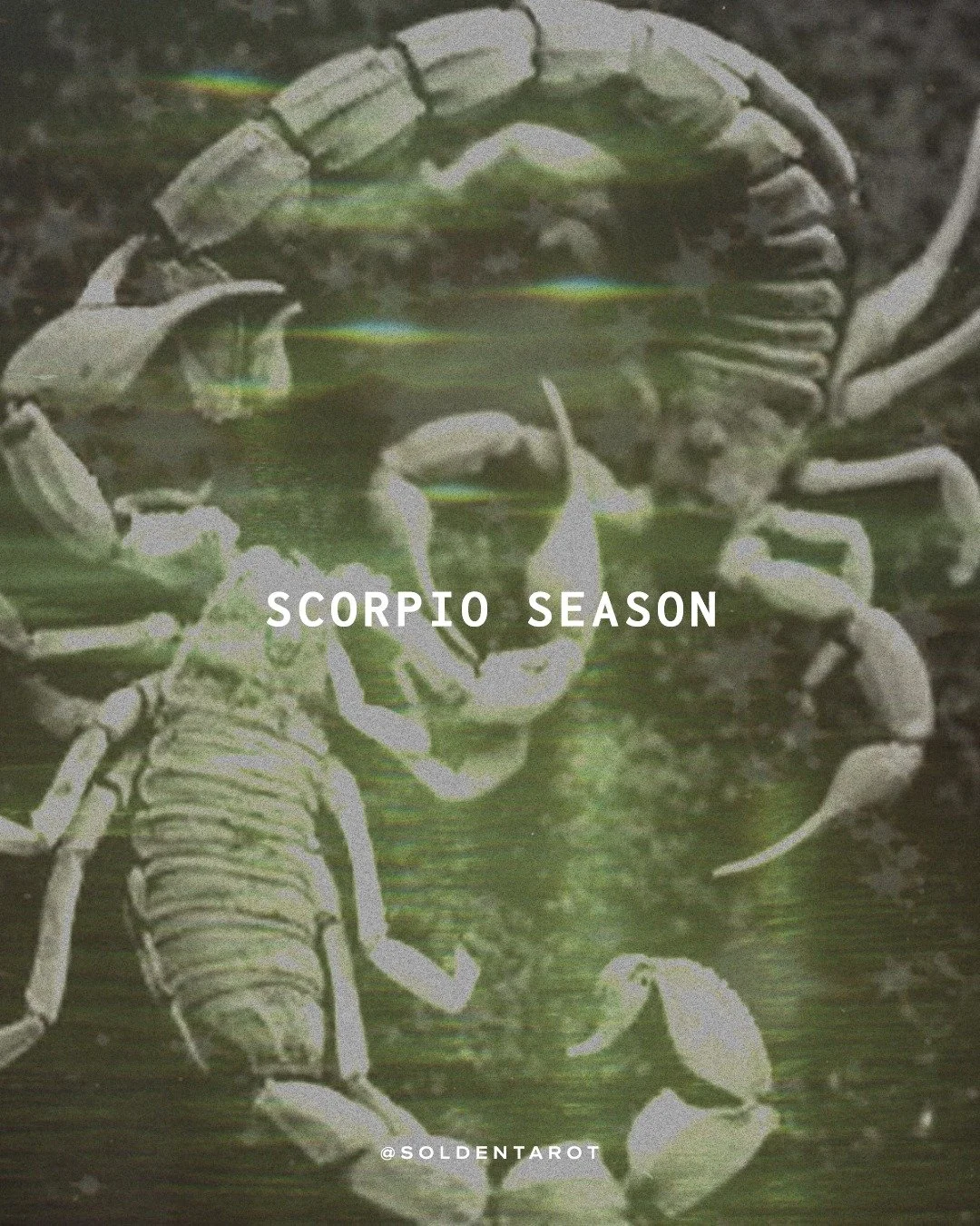 HAPPY SCORPIO SZN, BABE 🦂

the energy shifts now.
it&rsquo;s time to go deeper.

scorpio season is about truth, transformation, and emotional honesty. it&rsquo;s the invitation to stop skimming the surface and let yourself feel it all.

this isn&rsq