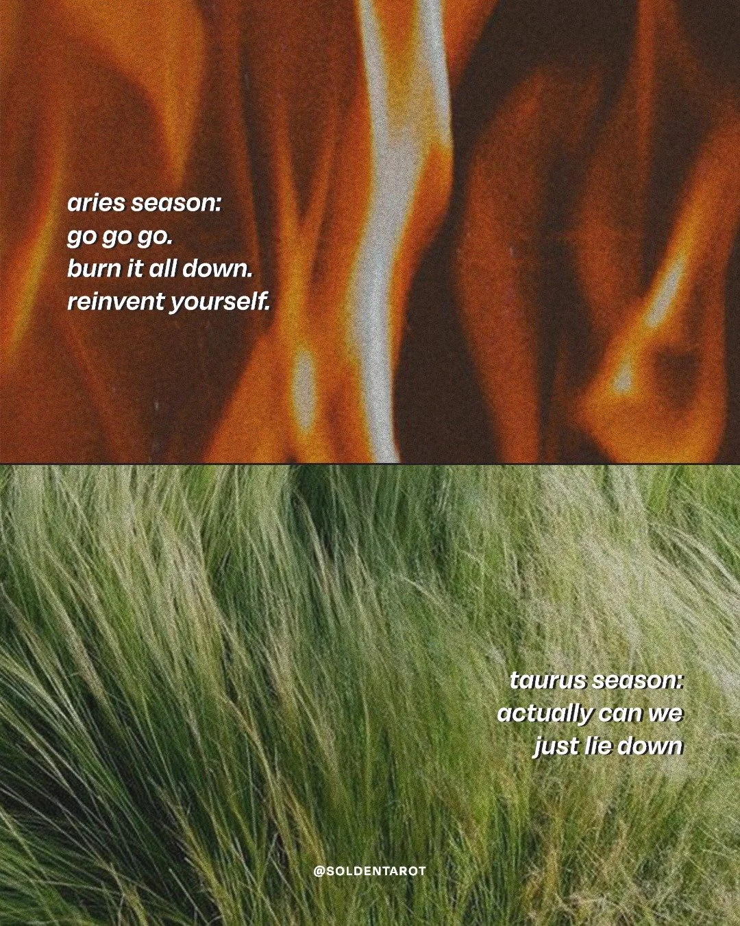 taurus season is here and wants you to ground.

you may have been caught up in aries fire. the constant go go go, the need to reinvent everything today.

now it's time to slow down. enjoy life. let doing less give you more.

go lay in some grass. 🌿