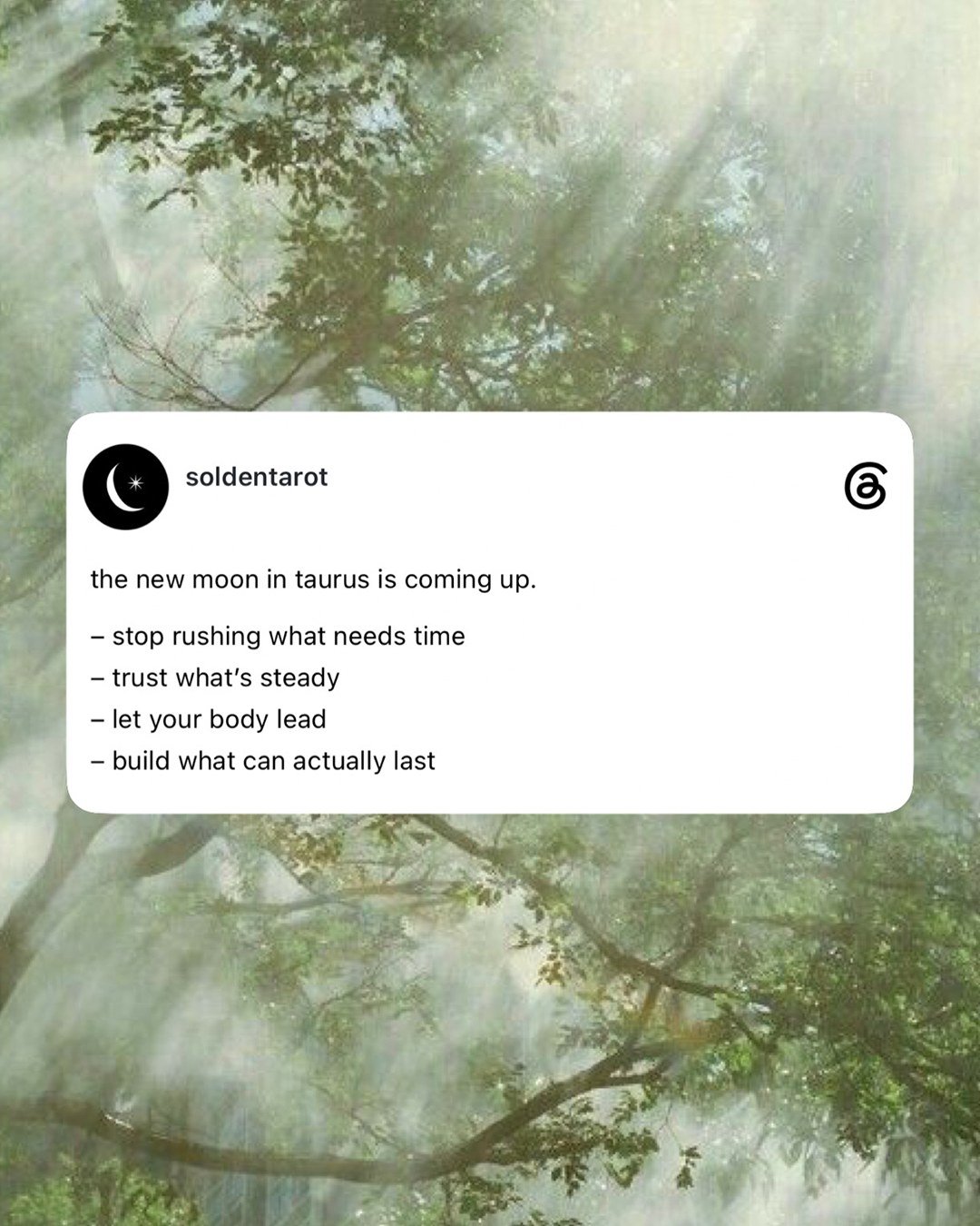 the new moon in taurus is saturday. 

a good time to slow down, get grounded, and listen for what feels steady.

personal tarot readings are open if you&rsquo;d like support for whatever you&rsquo;re moving through.

link in bio to book 🖤