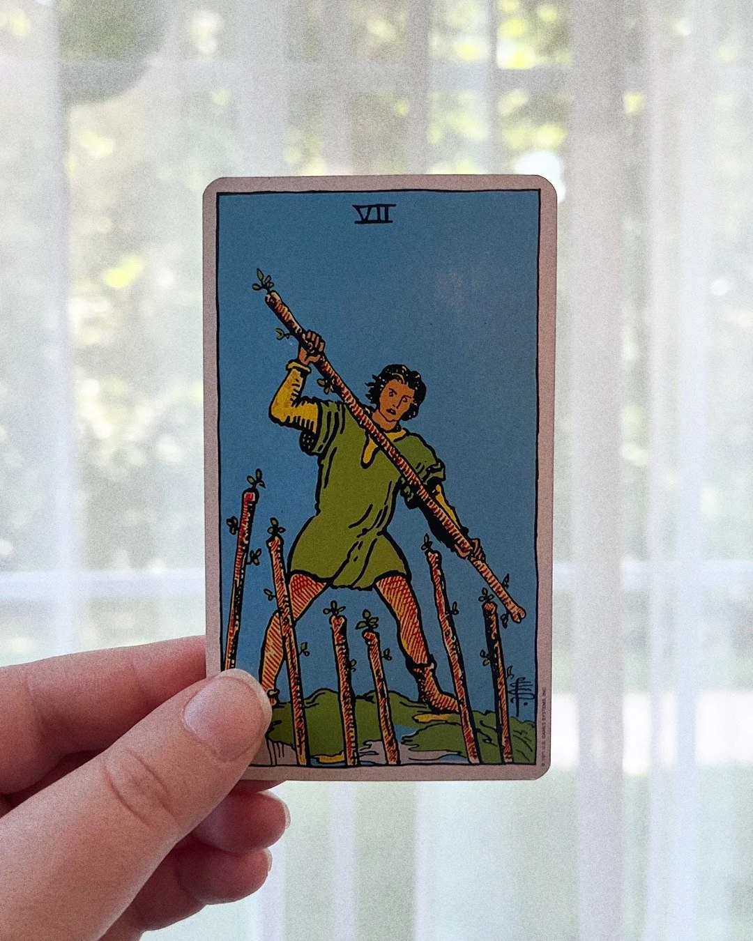 COLLECTIVE MESSAGE ✨

feeling like everything is fighting for your attention lately?

the seven of wands is a reminder to keep your blinders on and stay focused on what actually feeds your soul. there may be people, opportunities, distractions, or re