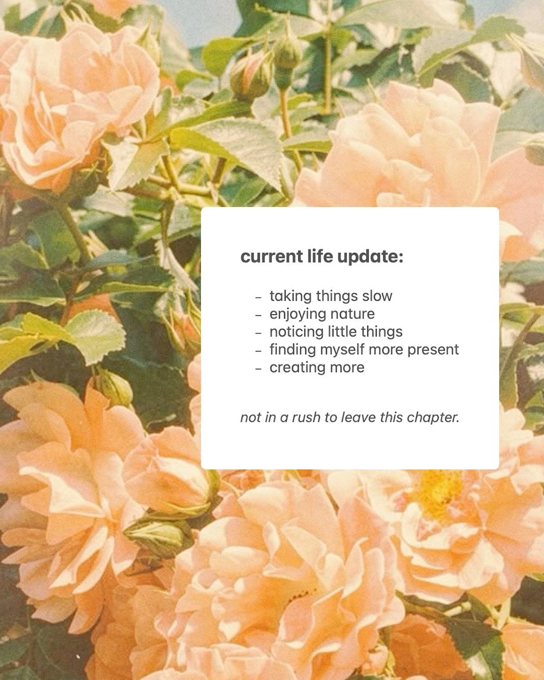 just noticing that life has felt a little softer lately, and i&rsquo;m grateful for that.