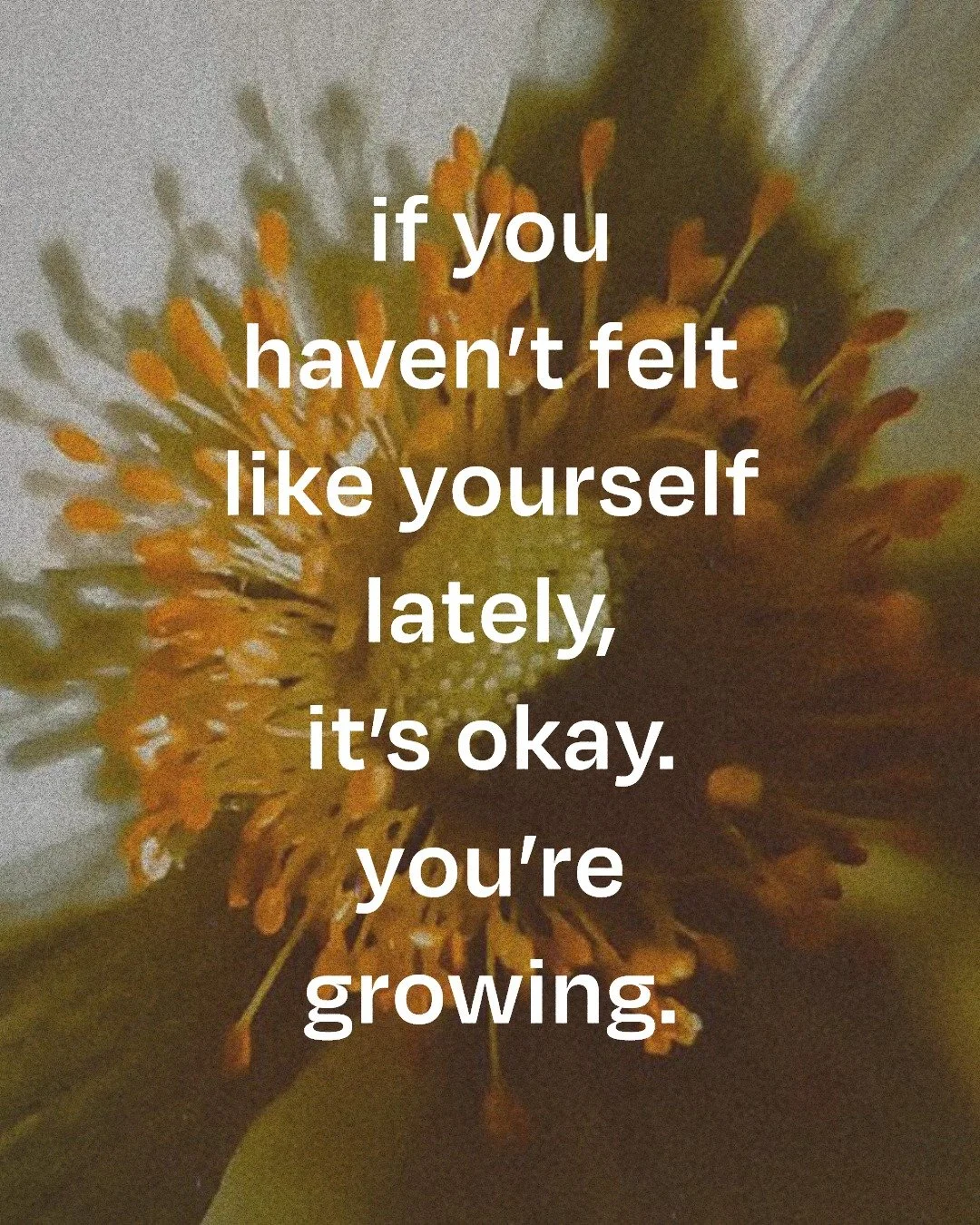 the seasons are changing. the days are getting shorter and life is starting to slow down. there&rsquo;s something about this time of year that makes everything feel a little more inward. and maybe in that quiet, you&rsquo;re noticing that you feel a 