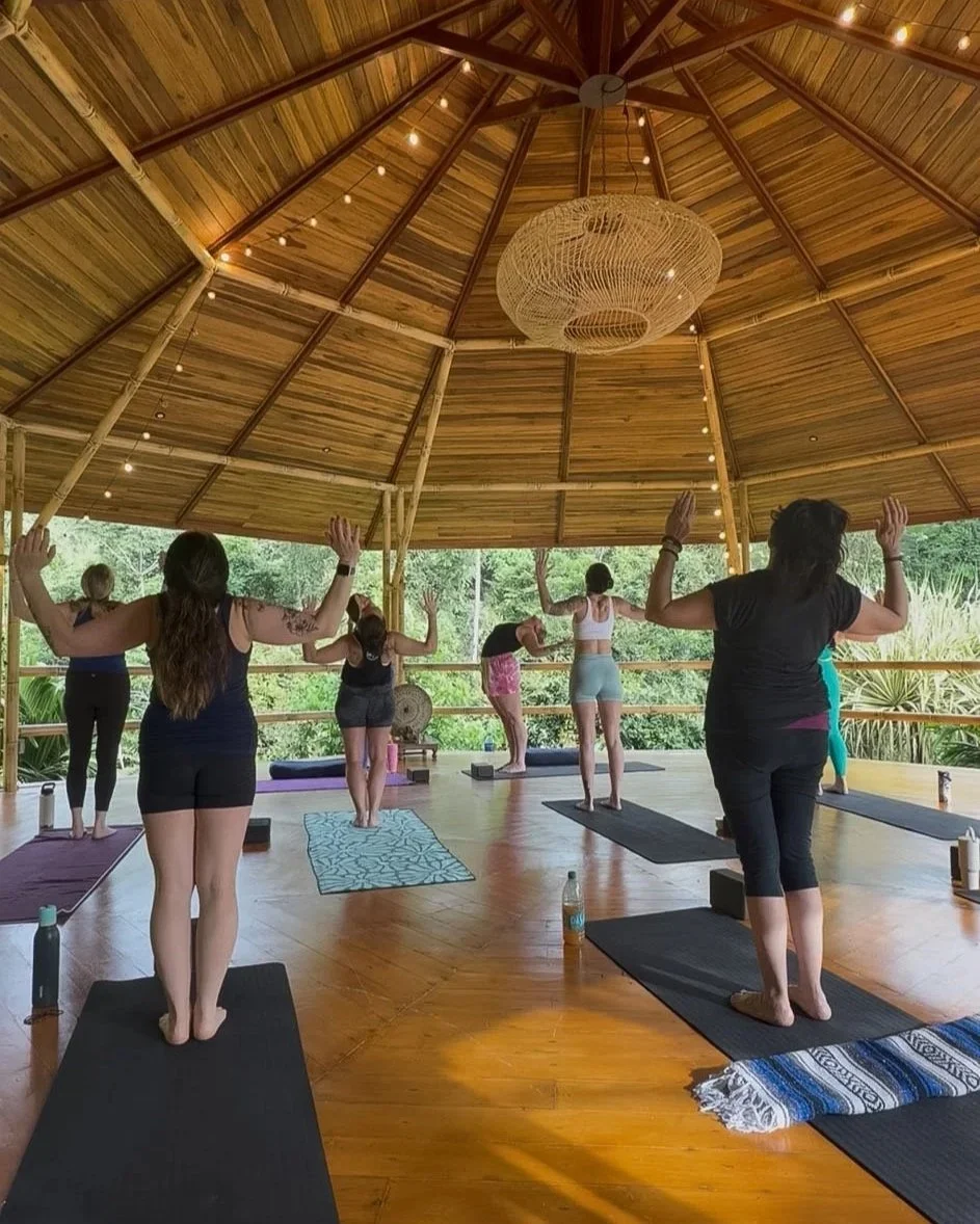 IMG_7779.jpg