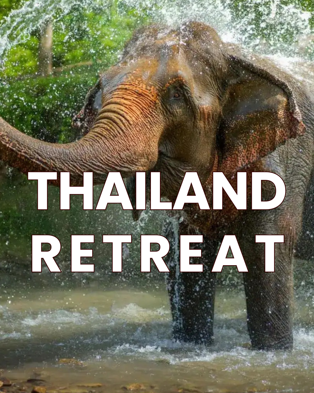 An elephant taking a bath in a water hole with greenery in the background, overlaid with the text 'Thailand Retreat' in large white letters.