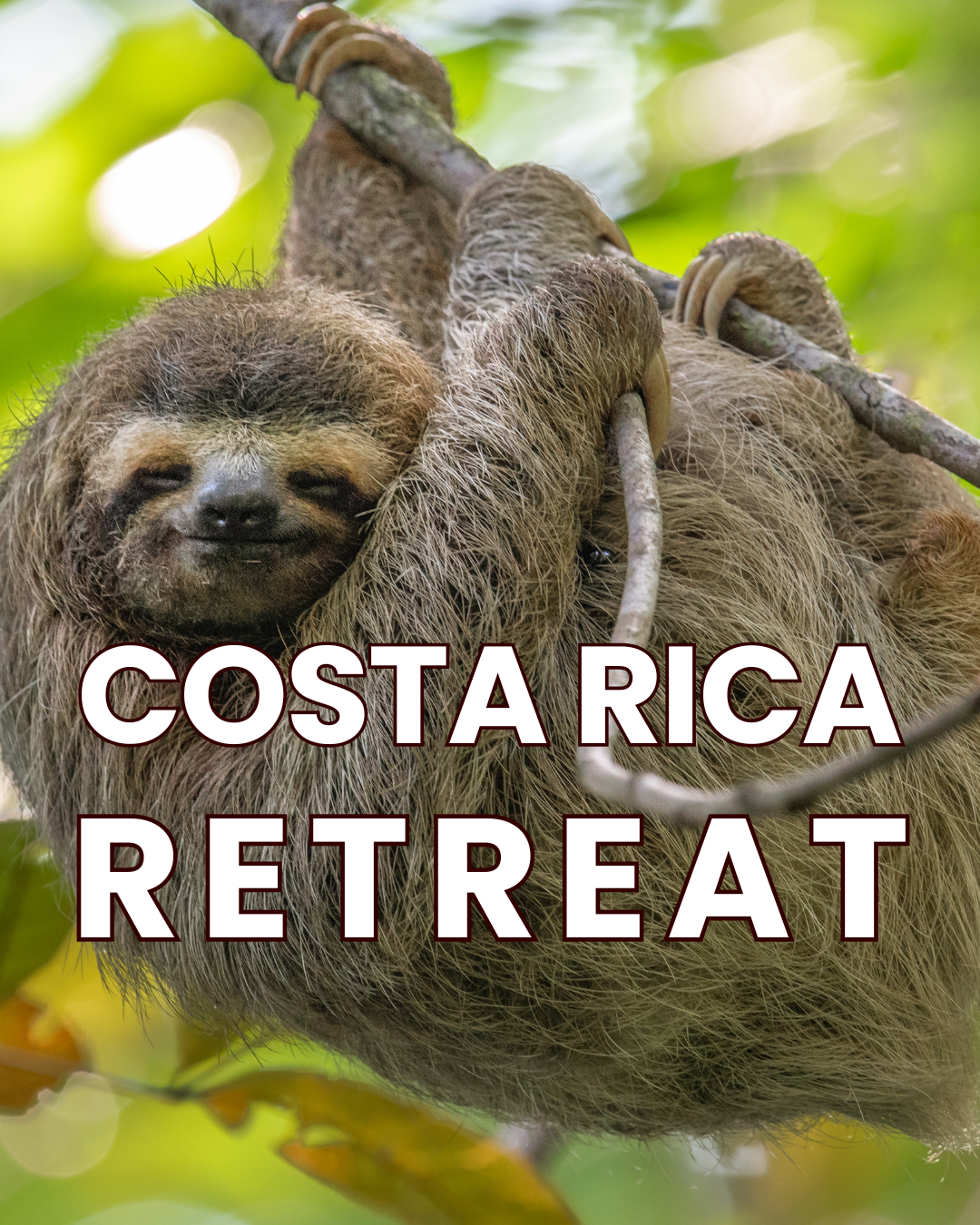 Close-up of a sloth hanging on a tree branch, with its eyes closed and smiling, surrounded by green leaves. Text overlay reads "Costa Rica Retreat."