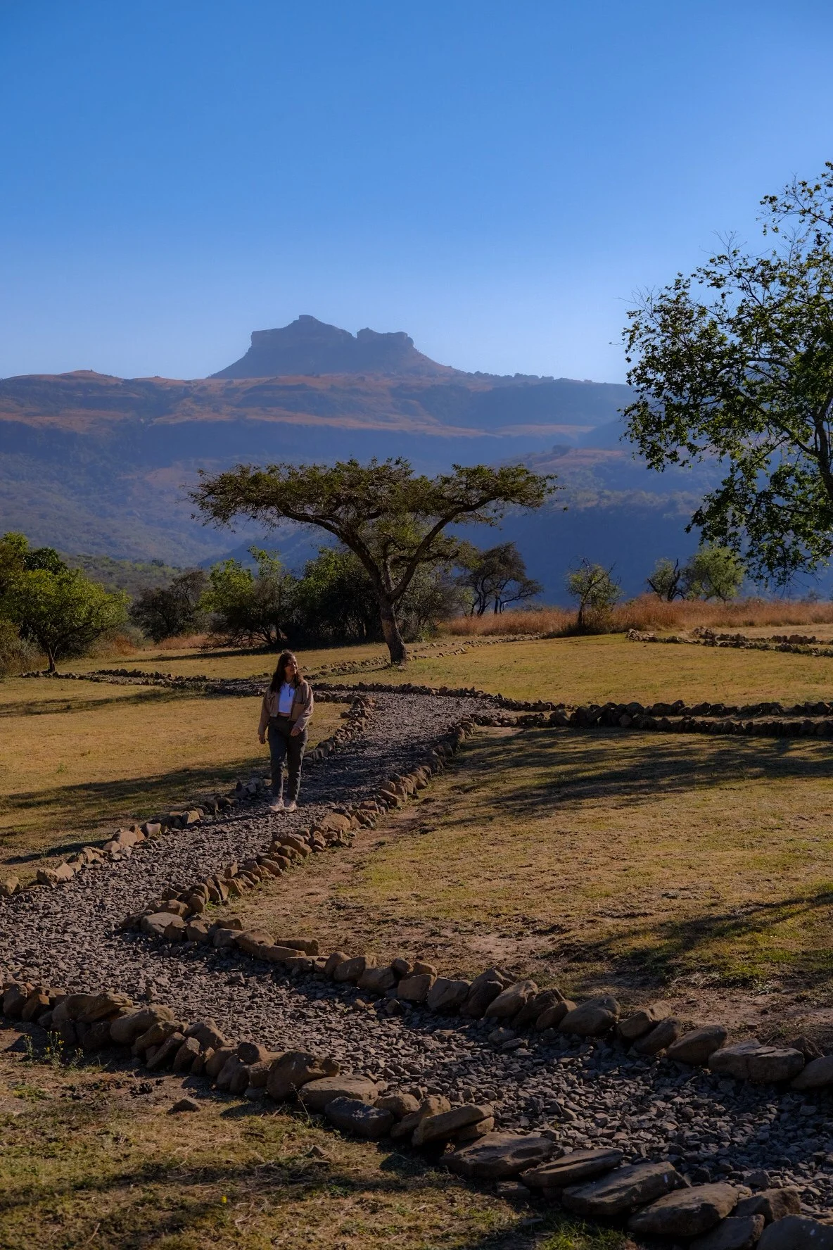 Sasi Bush Lodge