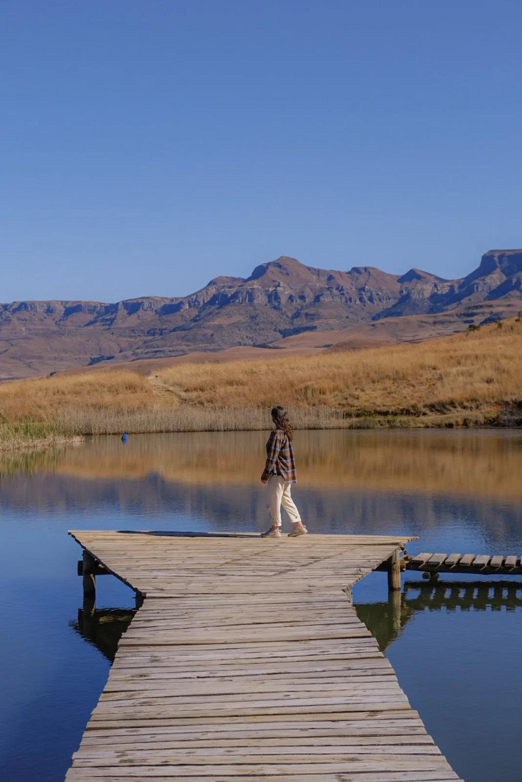 Montusi Mountain Lodge
