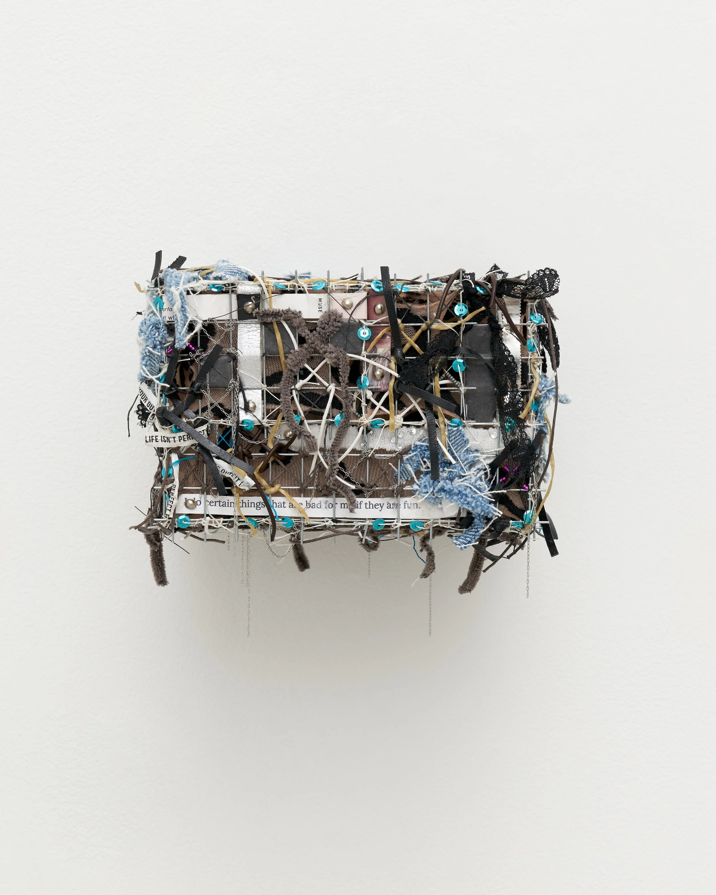 Sylvie Hayes-Wallace, Cage (Brain) # 13 (Teenager), 2026. Wire fencing, sheer bodysuit, pigment, eyeshadow, diamond dust, black diamond dust, mini brads, nylon thread, silk thread, cotton cord, chain, “LIFE ISN’T PERFECT BUT YOUR OUTFIT CAN BE” dry c
