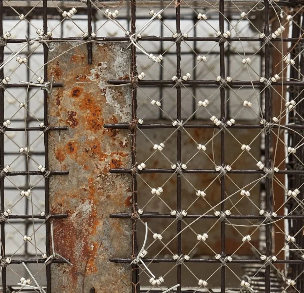 Detail: Sylvie Hayes-Wallace, Cage (Brain) # 14 (Aging), 2026.