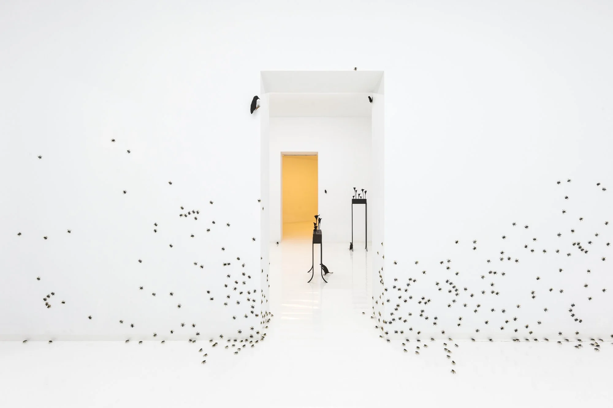 Installation View, Contempt, Capsule, Shanghai, CN, 2024