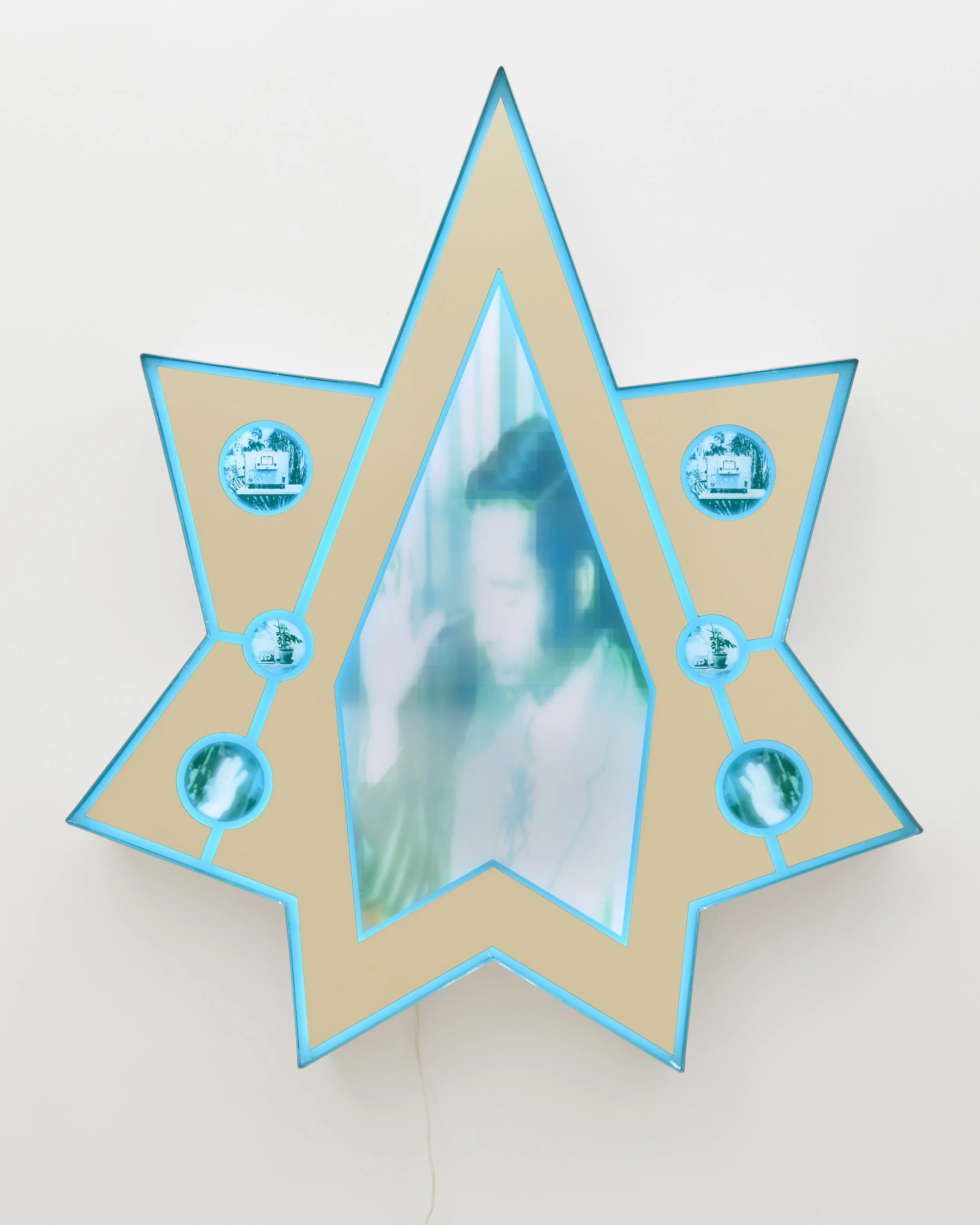 Nina Hartmann, Plant Consciousness Star (Diagram) (psychic Connection), 2026. Acrylic, LED Lights, Aluminum, UV print. 69 x 60 x 6 inches