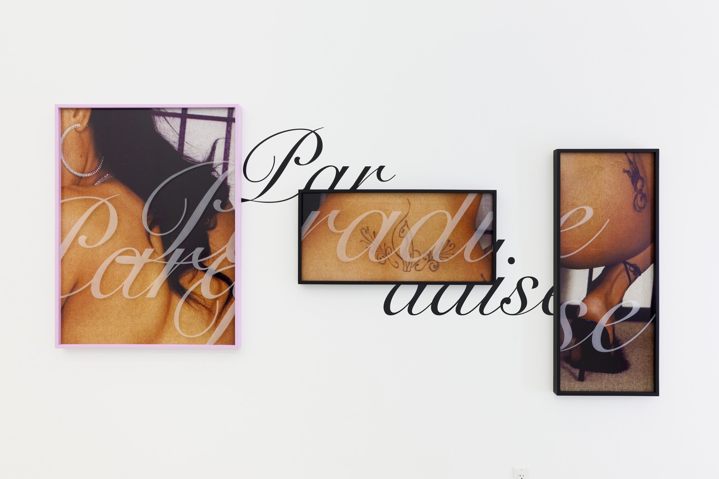 Paradise (Triptych), 2025, Archival inkjet print, custom frame, sandblasted glass, vinyl, 40 x 30, 15 x 32, 40 x 16 inches
