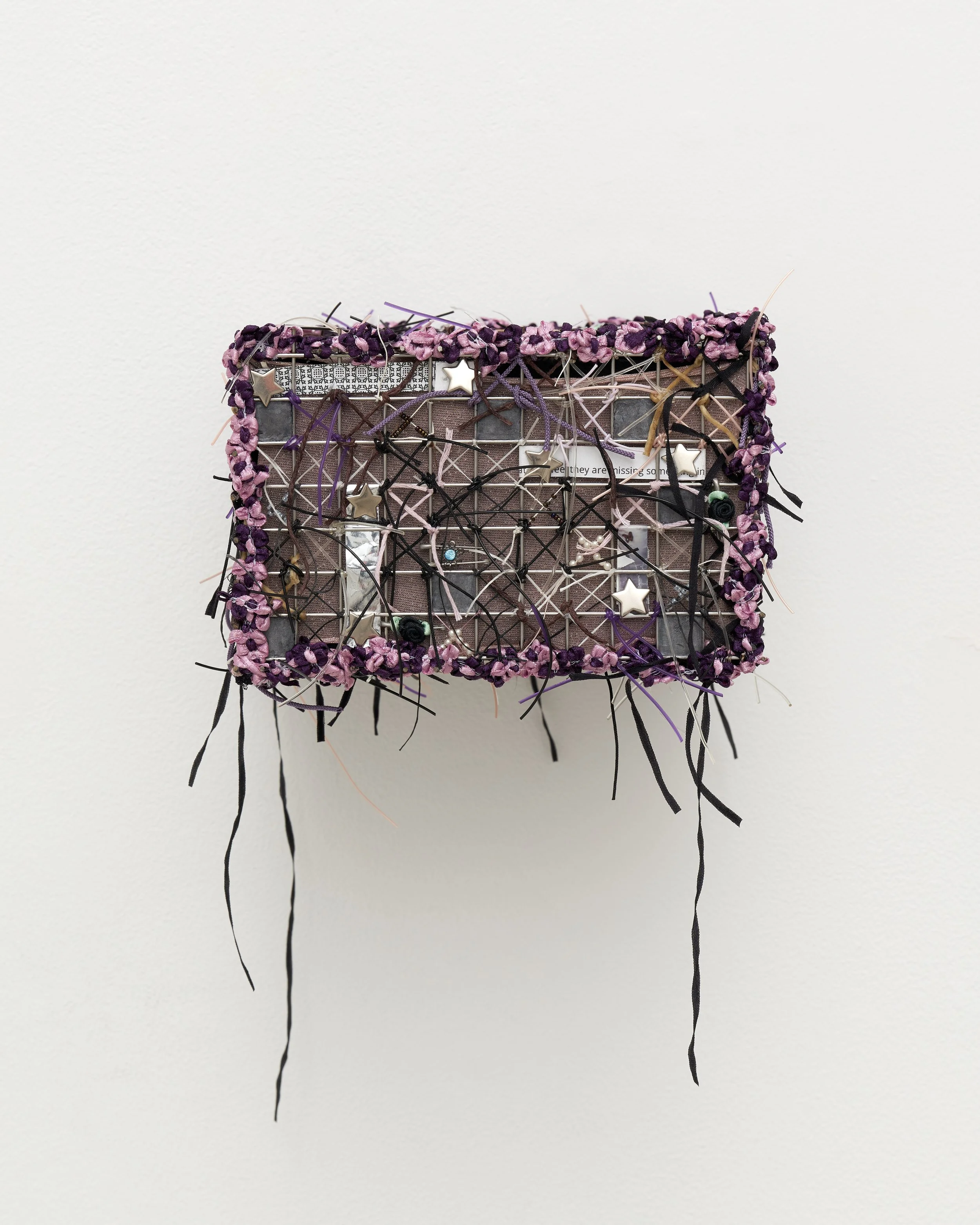 Sylvie Hayes-Wallace, Cage (Brain) # 12 (Inner Child), 2026. 