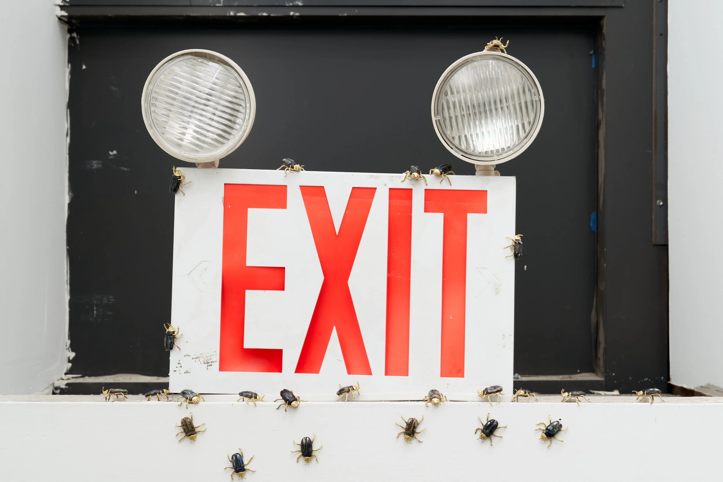 Detail, Fleurs du Mal, Silke Lindner, New York, NY, 2025