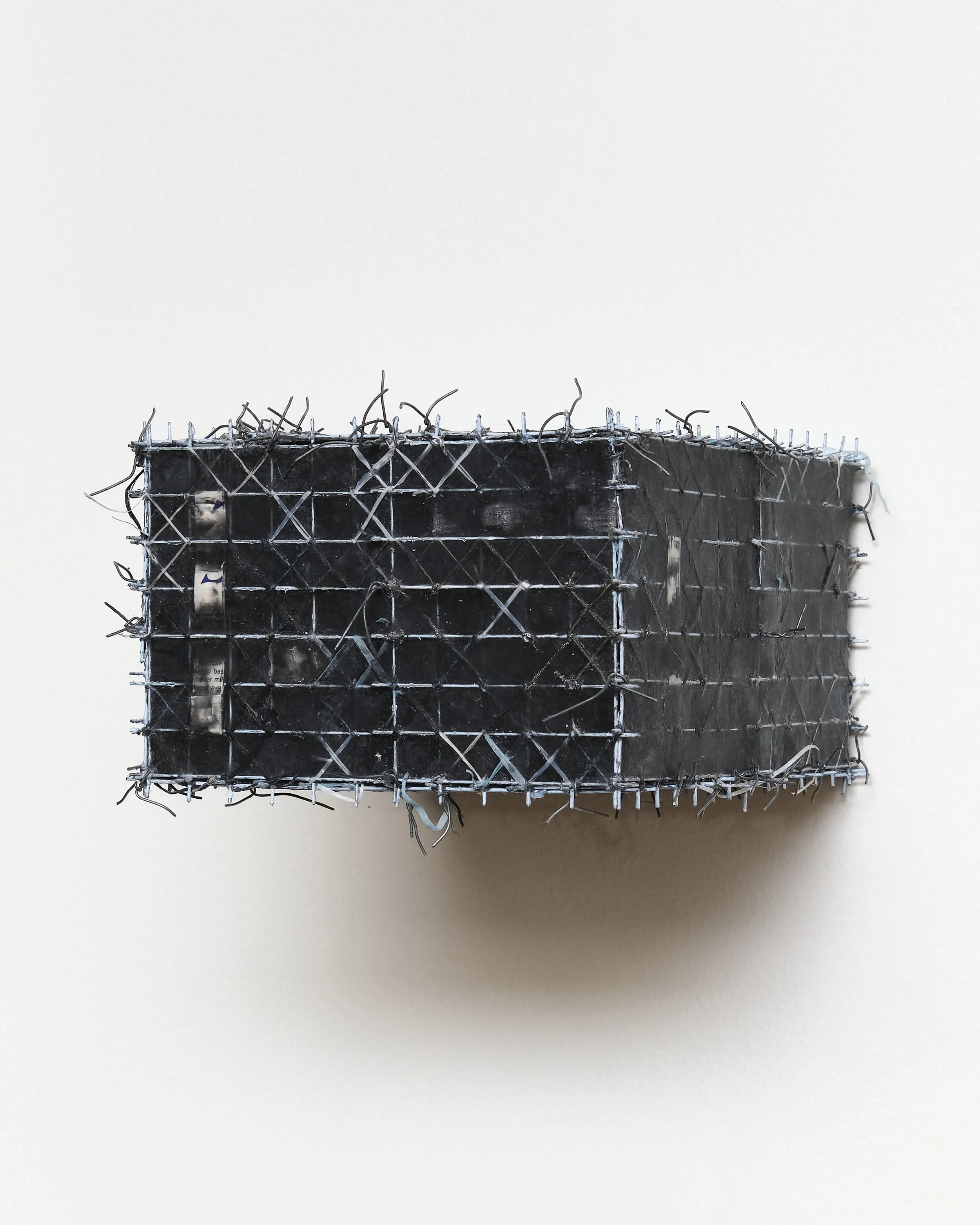 Sylvie Hayes-Wallace
Cage (Brain) #2 (Friendship), 2024
