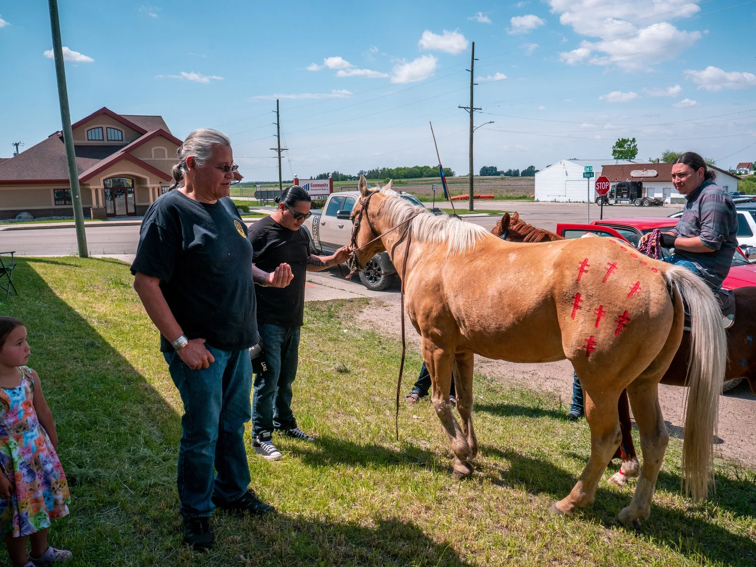 Horse Programs — Anishinaabe Agricultural Institute